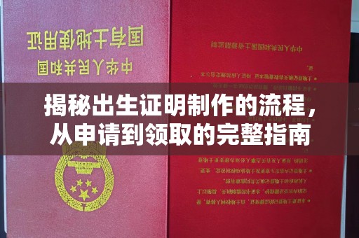 萧县揭秘出生证明制作的流程，从申请到领取的完整指南